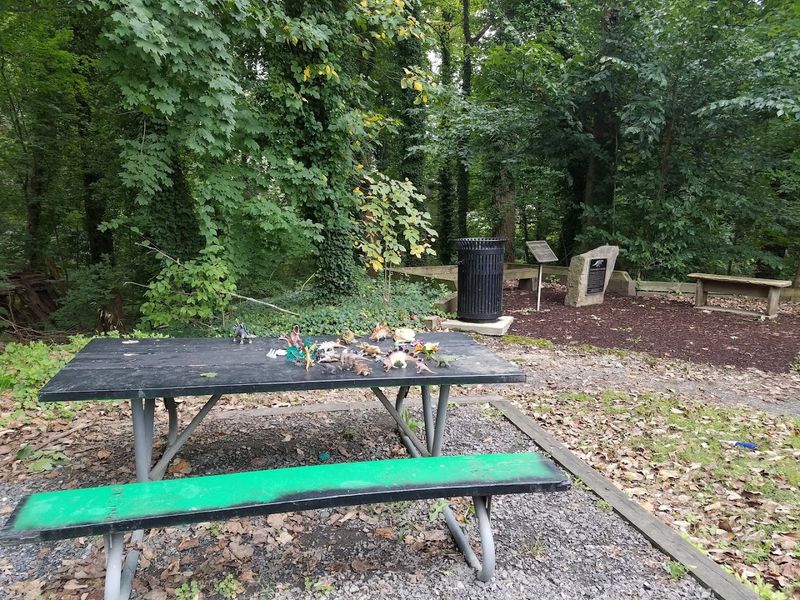 The Eagle Scout Who Found the Lost Site