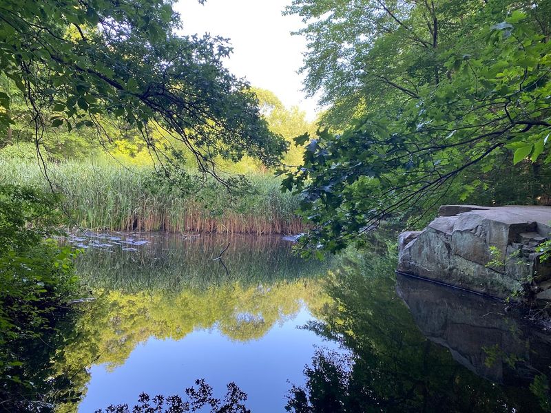Wetlands Along the Way