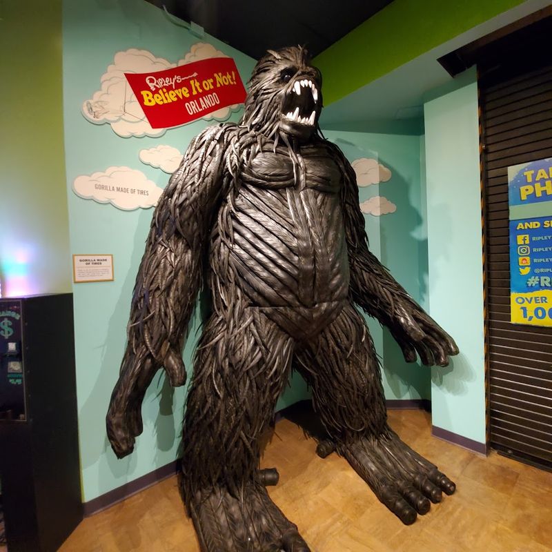 The History Behind the Ripley Brand