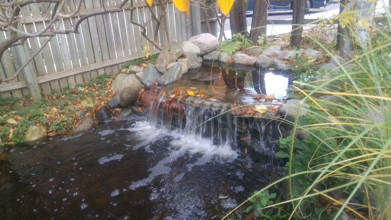 The Water Garden That Slows Everything Down