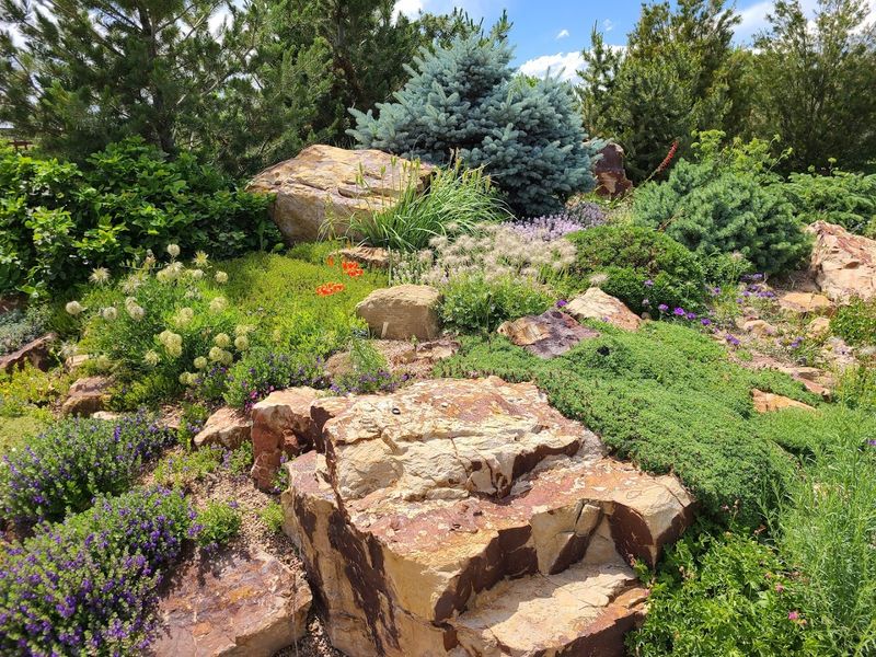The Foothills Garden and Colorado Native Plants