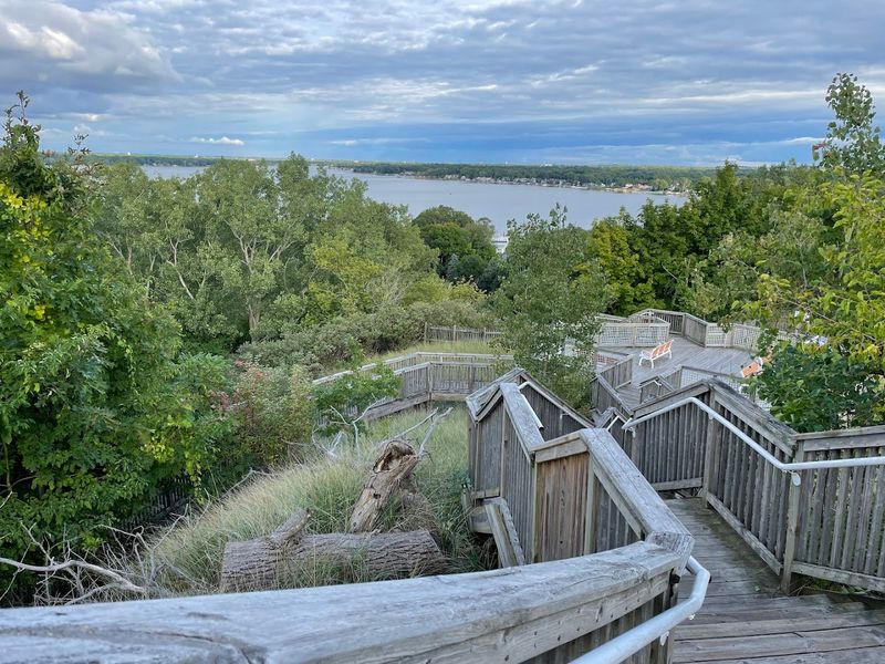 The Cabins and What Staying in One Actually Feels Like