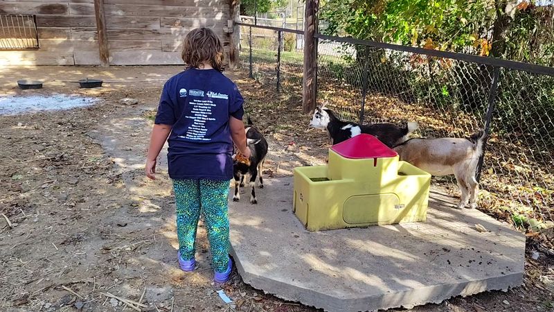 The Walk-Through Zoo: A Whole Second Adventure