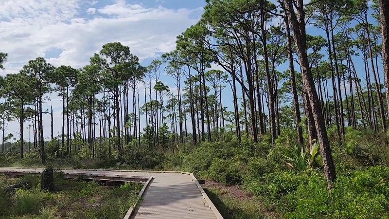 Nature Trails: More Than Two Miles of Coastal Wilderness to Explore
