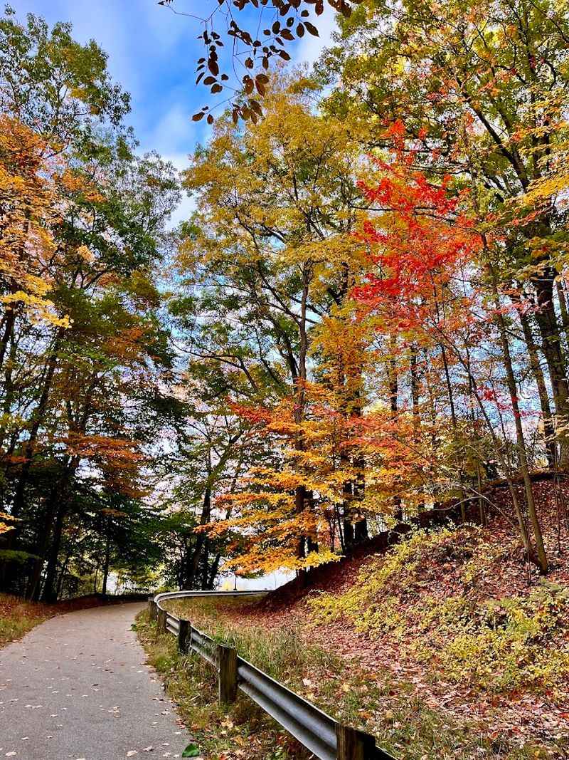 Year-Round Access and What Each Season Brings