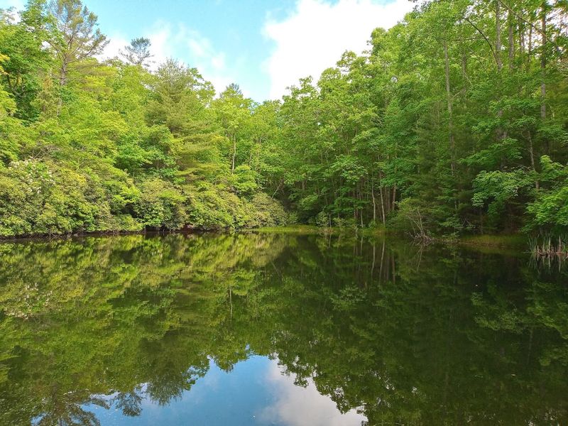 Wildlife and Nature Encounters Worth Slowing Down For