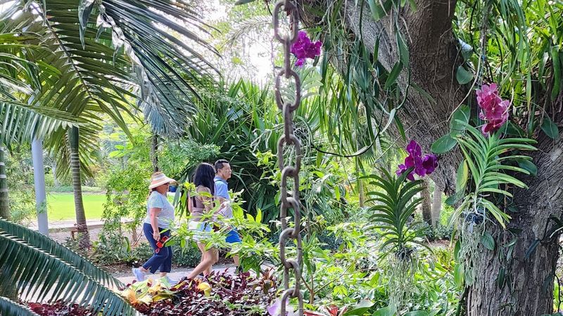The Florida Garden: Native Plants With a Local Story