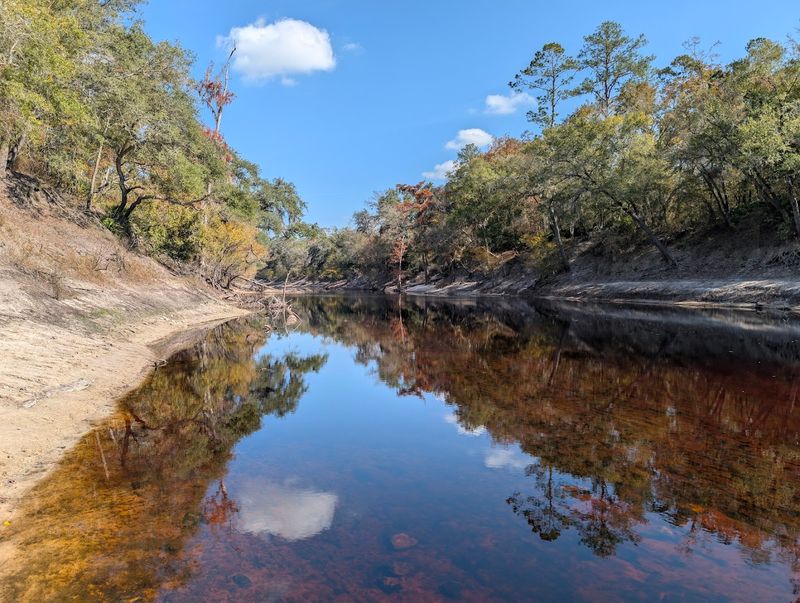 Trails Along the Suwannee River