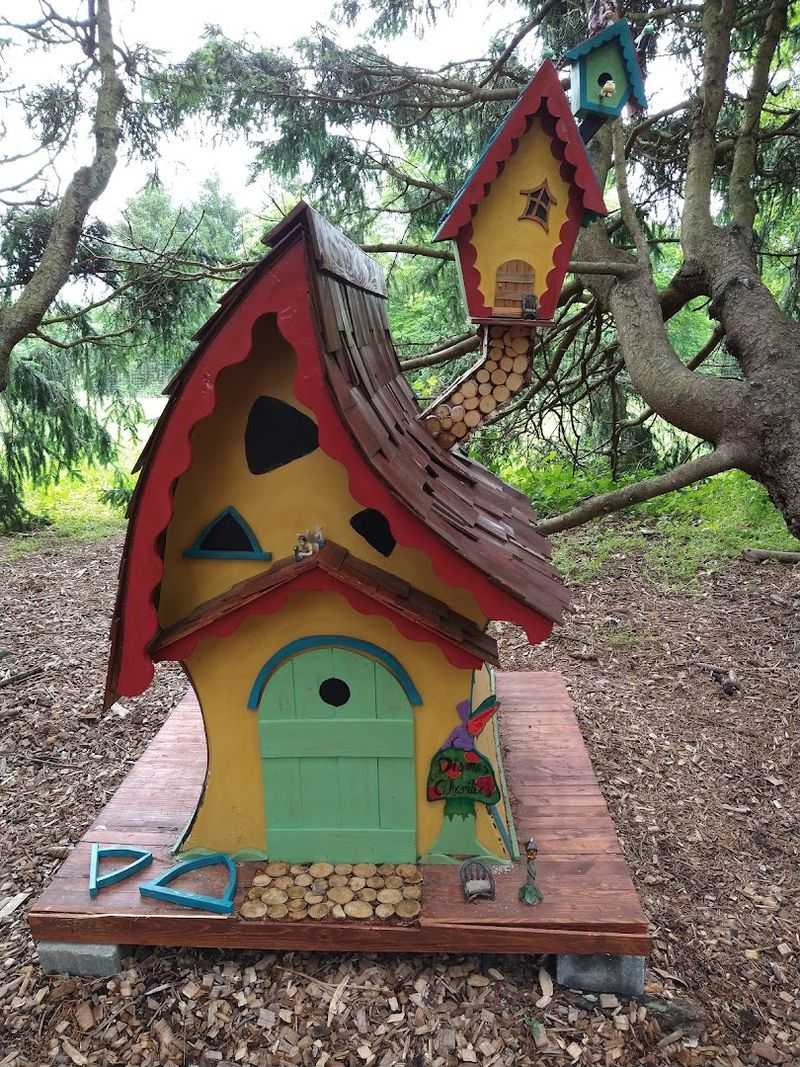 The Fairy Forest: Pure Magic for Kids and Adults Alike