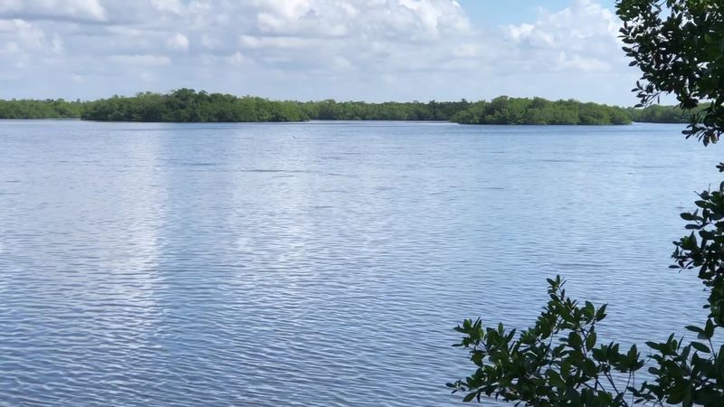 Hurricane Ian and the Island's Ongoing Recovery