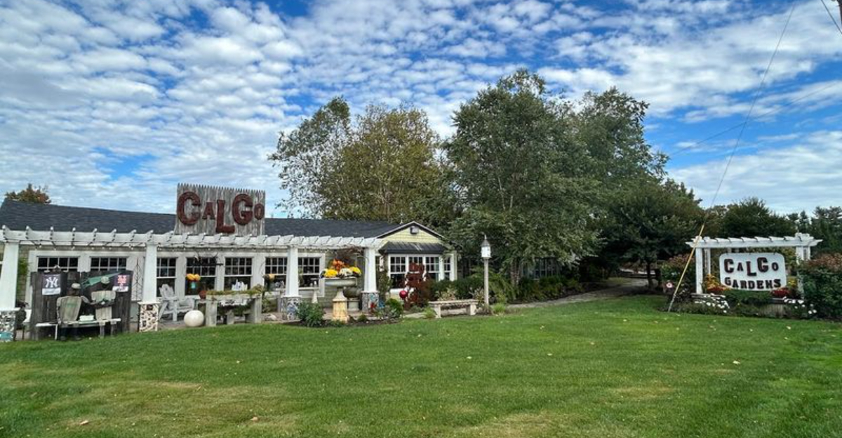 The Charming Outdoor Escape That Quietly Became a U.S. Chamber Awards Finalist