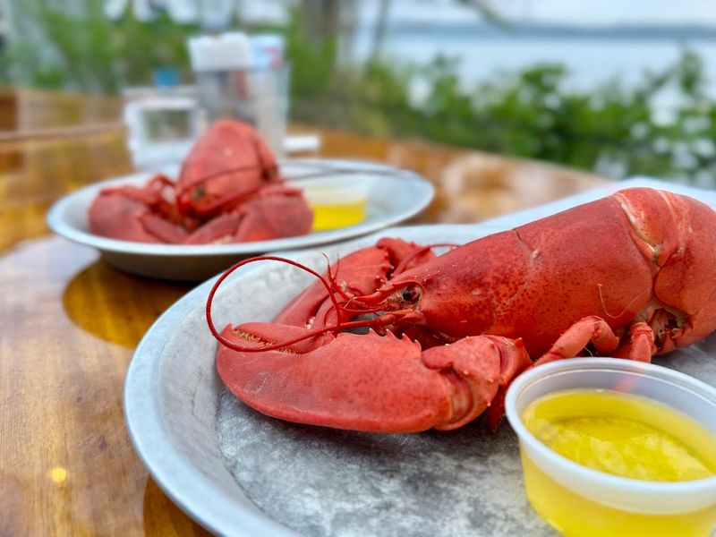 Abel's Lobster — Mount Desert Island