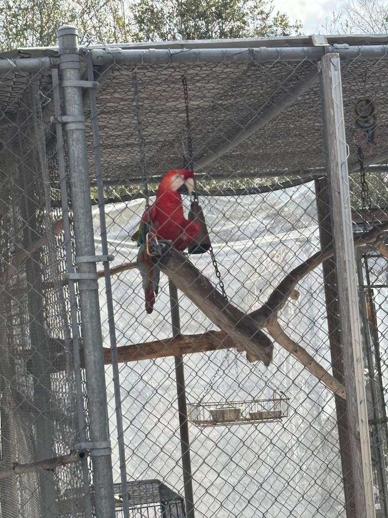 The Gift Shop and How to Support