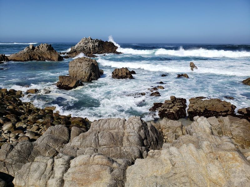 Tide Pools Filled with Miniature Ocean Life