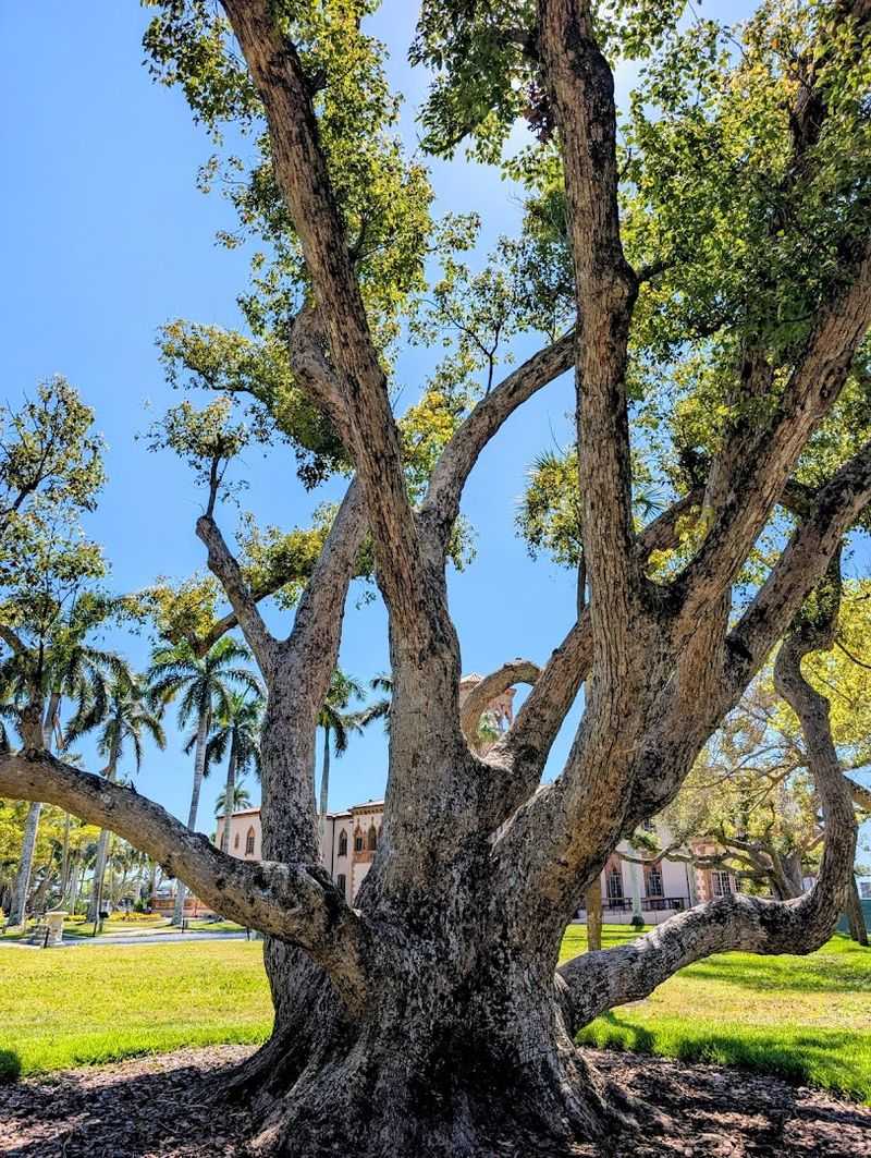 Special Events, Evening Programs, and What Happens After Hours