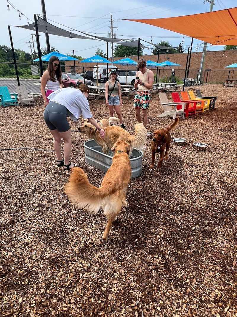 10,000 Square Feet of Pure Pup Paradise