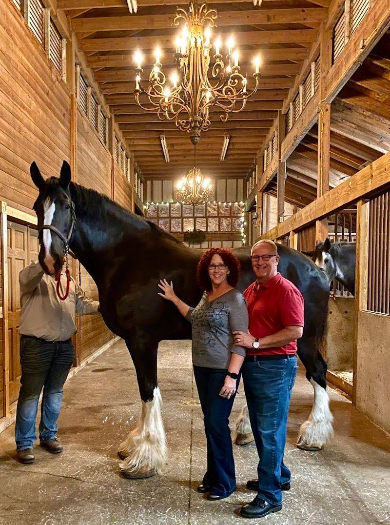 Thoughtful Touches That Make the Visit Memorable