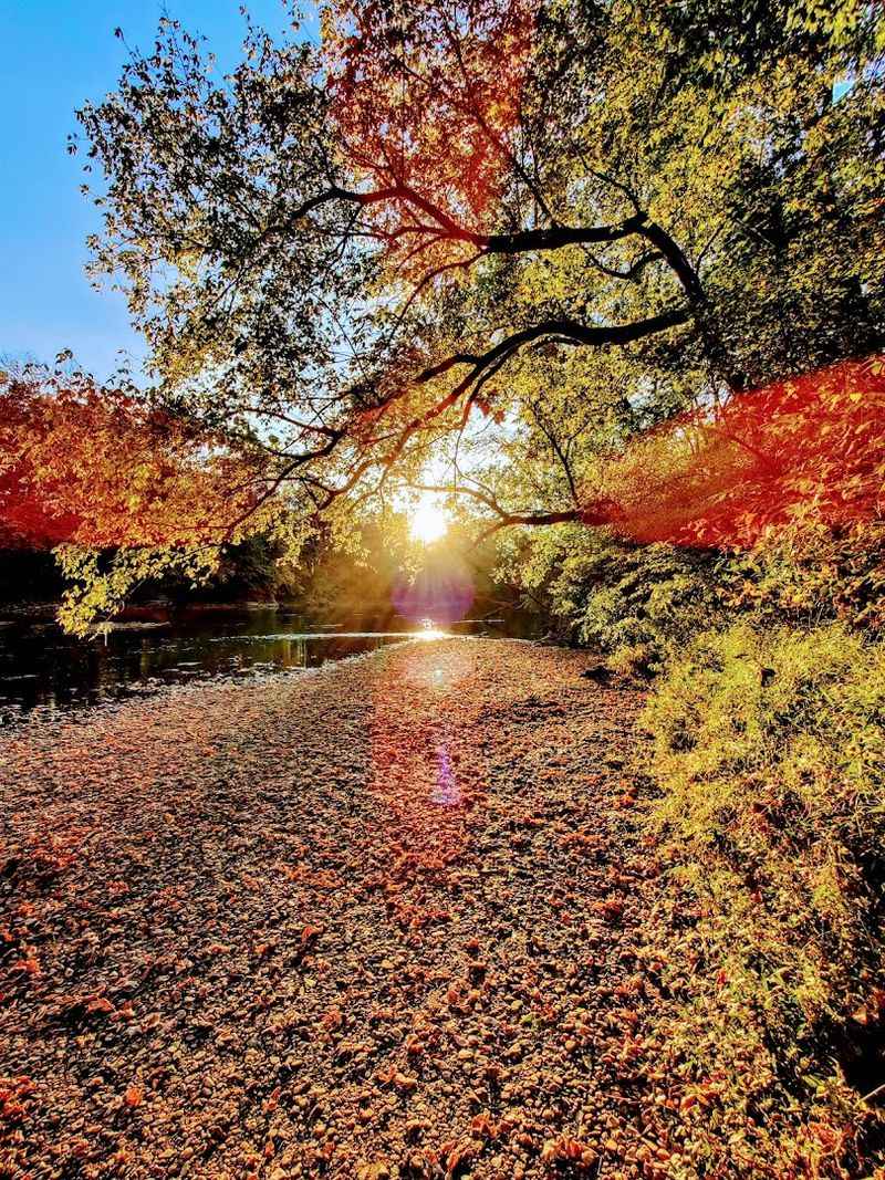 Every Season Brings Something Different