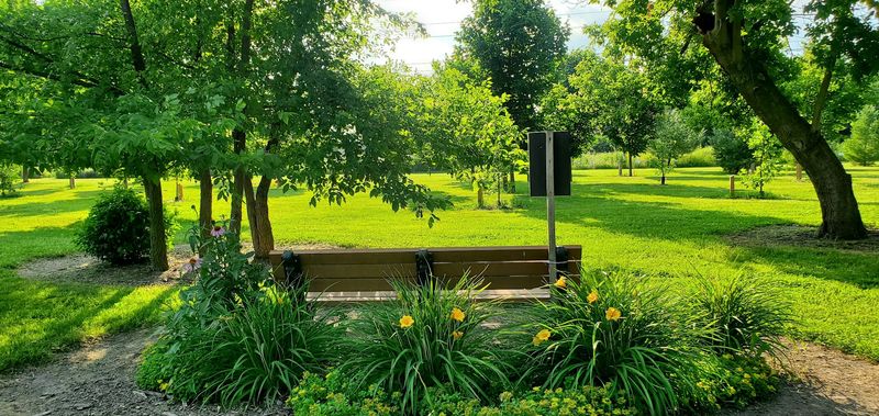 Benches, Shade, and the Art of Slowing Down