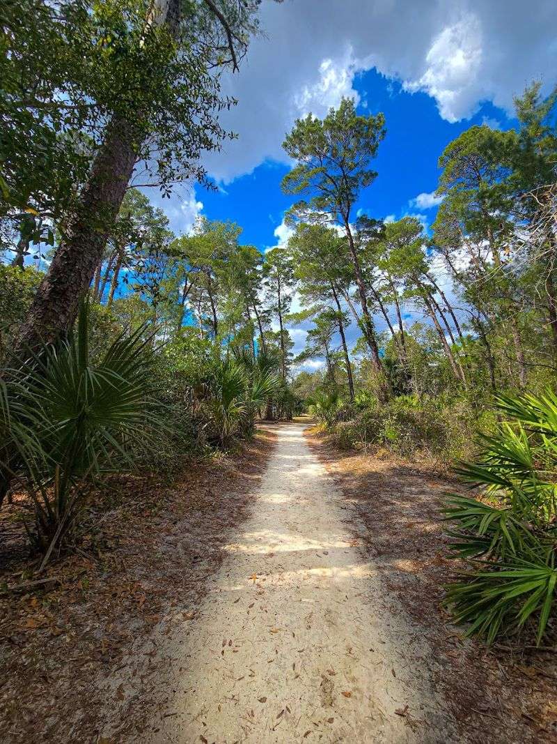 The Hammock Loop and Sandy Pine Trails: Beyond the Boardwalk