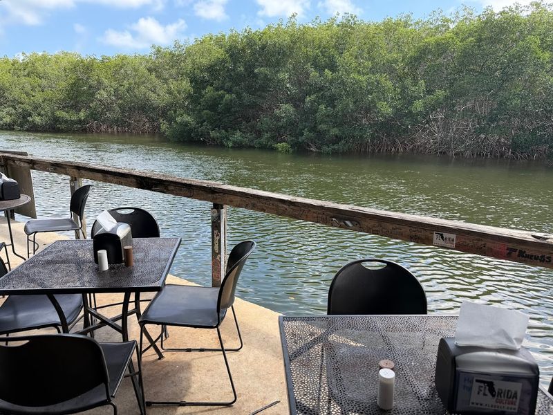 The Waterfront View and Natural Surroundings