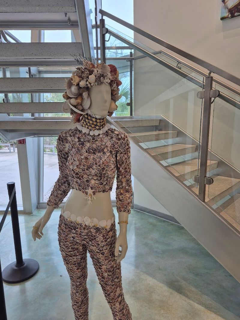 The Shell and Fashion Exhibit: Where Nature Meets Human Creativity