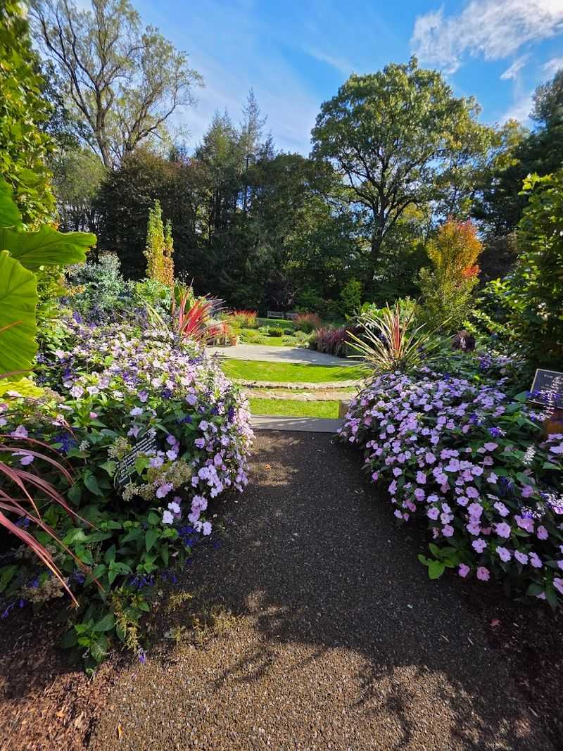Spring Blooms Beyond the Daffodils
