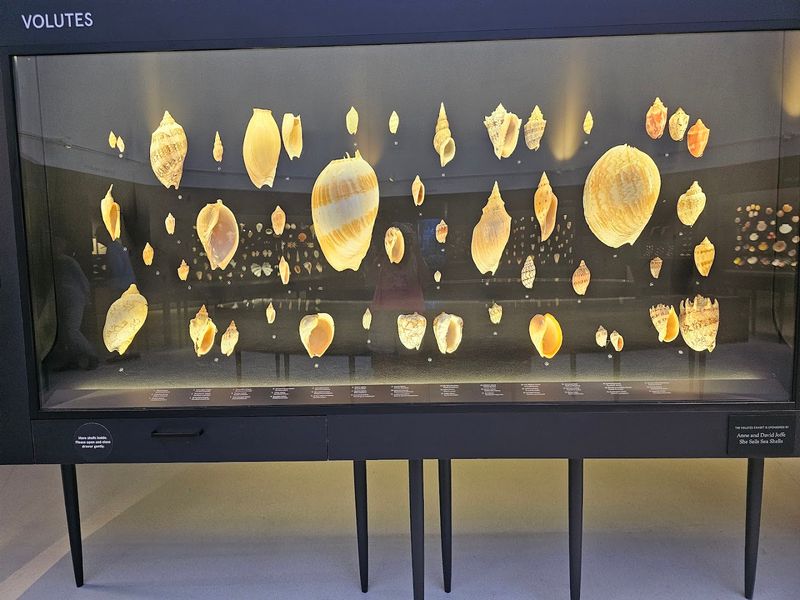 The Educational Film: Twenty Minutes That Reframe Everything