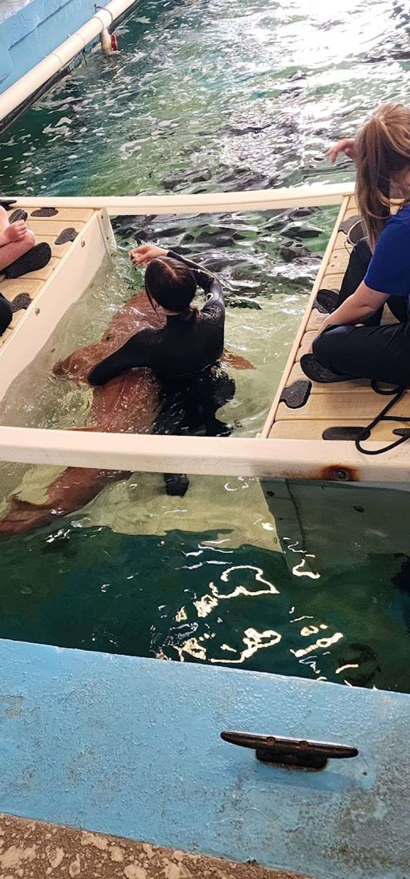 The Marine Hospital: A Behind-the-Scenes Look