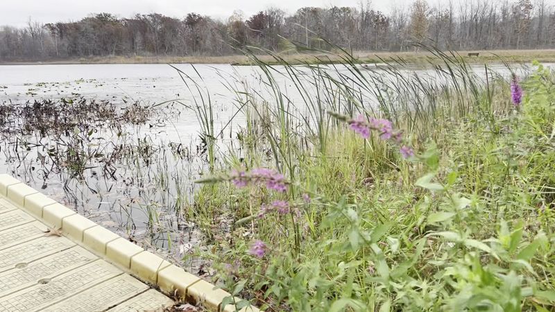 Three Inland Lakes You Probably Did Not Expect