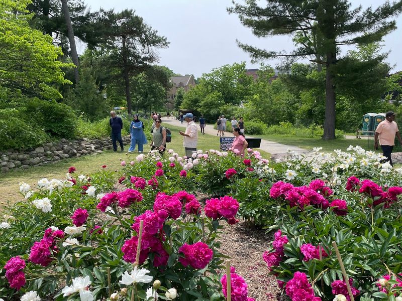 Practical Tips That Will Make Your Visit Smoother