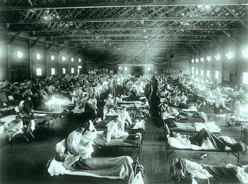The Spanish Flu Pandemic Continued