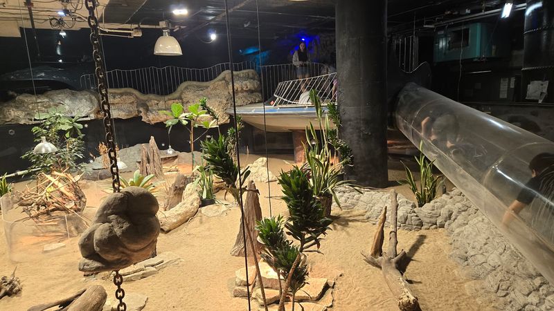 City Museum, St. Louis, Missouri