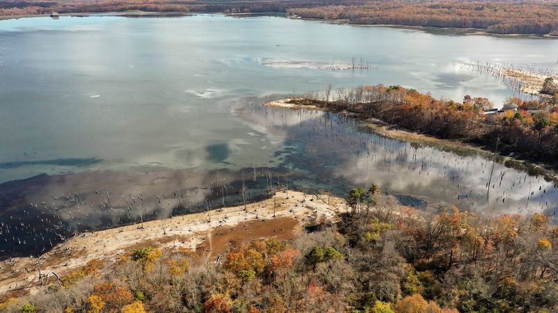 What Fall Looks Like at the Water's Edge