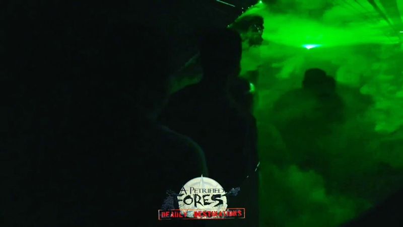 The Backstage Tour for the Boldly Curious