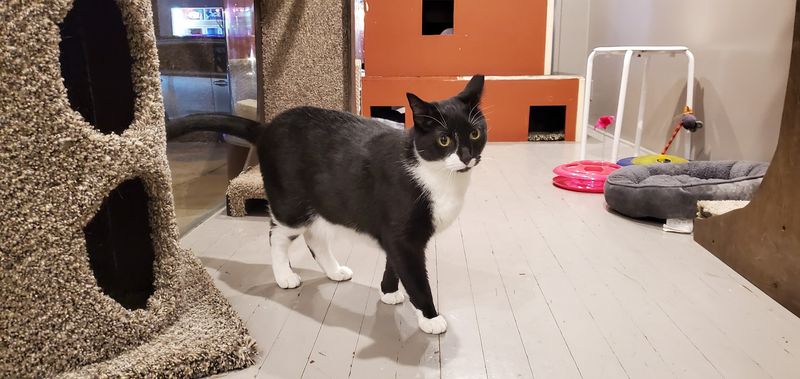 A Spot That Keeps Reinventing Itself