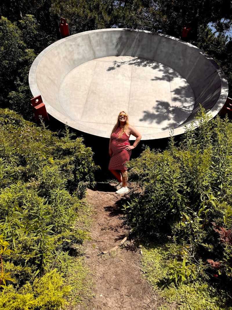 The Overgrown Setting and Hidden Path to the Pan