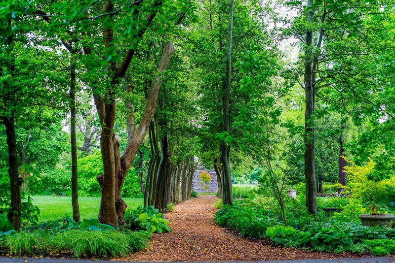 The Pollinator Meadow and Walking Trails