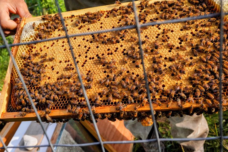 A Sustainable Farm That Actually Walks the Talk