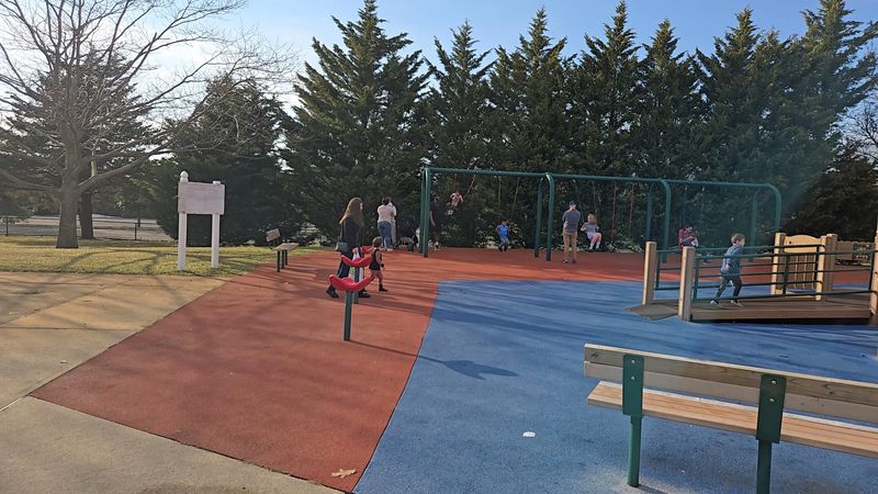 Swings for Every Age Group and Comfort Level