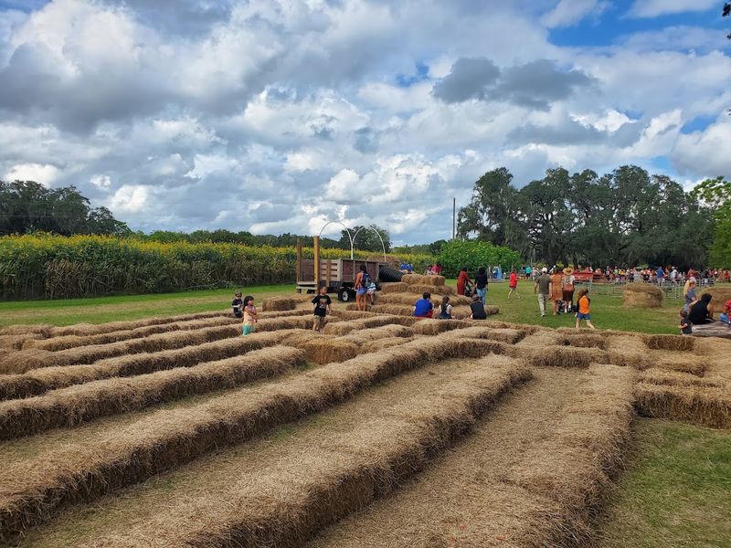 Tips for Planning the Perfect Farm Visit