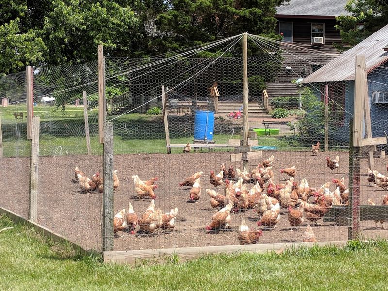 Animals, Play Areas, and Activities for Every Age