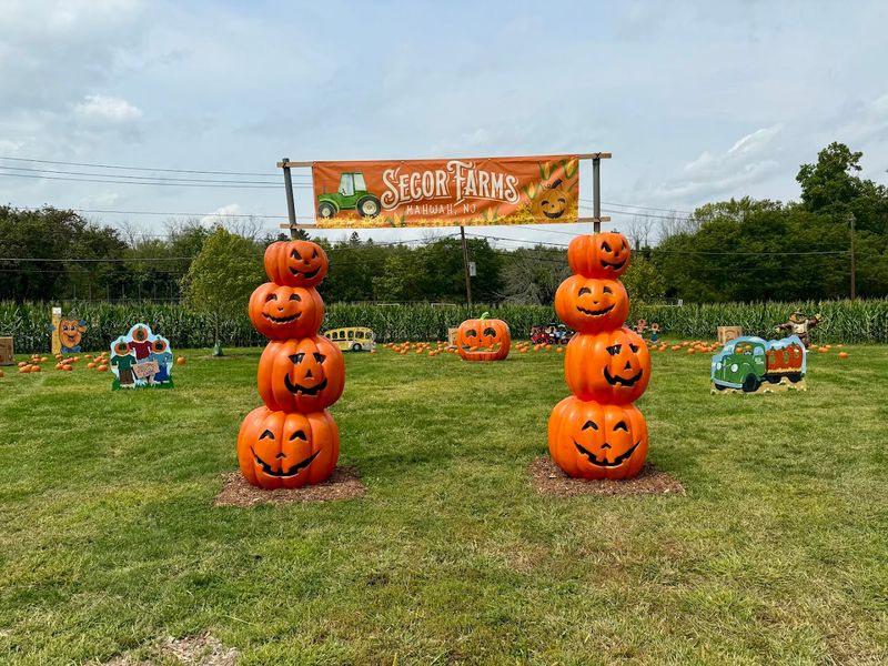 Fall Decorations That Set the Mood