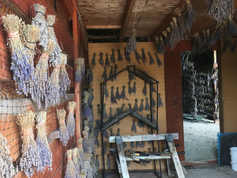 A 130-Year-Old Barn Gives The Visit Some Backbone