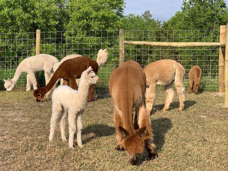 How Jason and Rebecca Built Something Special Here