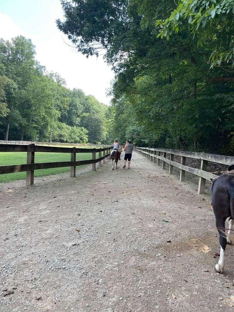 Horseback Riding Through the Woods at the Saddle Barn