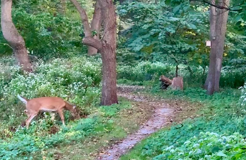 Best Times of Year to Visit