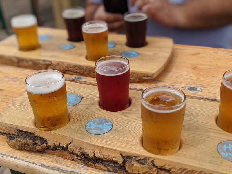 Seasonal and Specialty Taps Worth Seeking Out