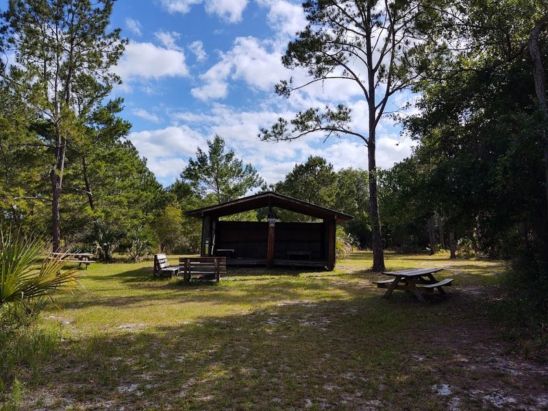 Camping at Shelter 8 and the Primitive Campsite Experience