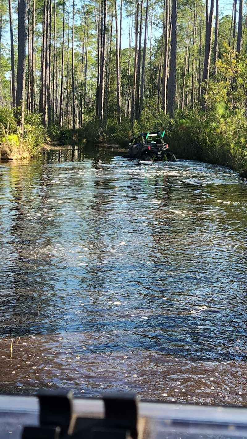 ATV and Off-Road Trail Riding: Where the Real Fun Begins